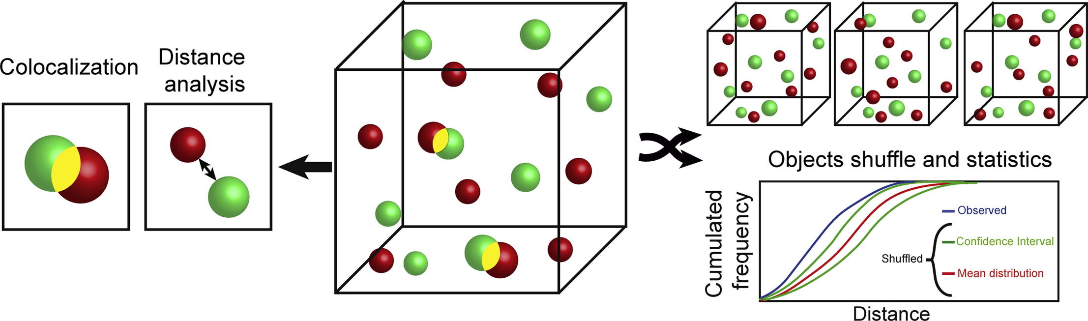 Colocalization Analysis Python Feature request - Distance measurements, colocalization · Issue #862 ...