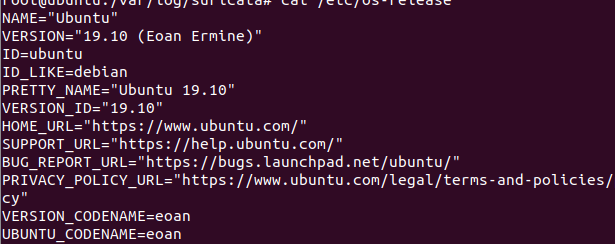 Cat linux это. Ubuntu versions. cat linux. cat терминал что это.