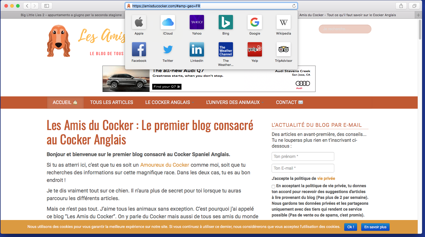 screen shot 2019-02-28 at 1 11 10 pm