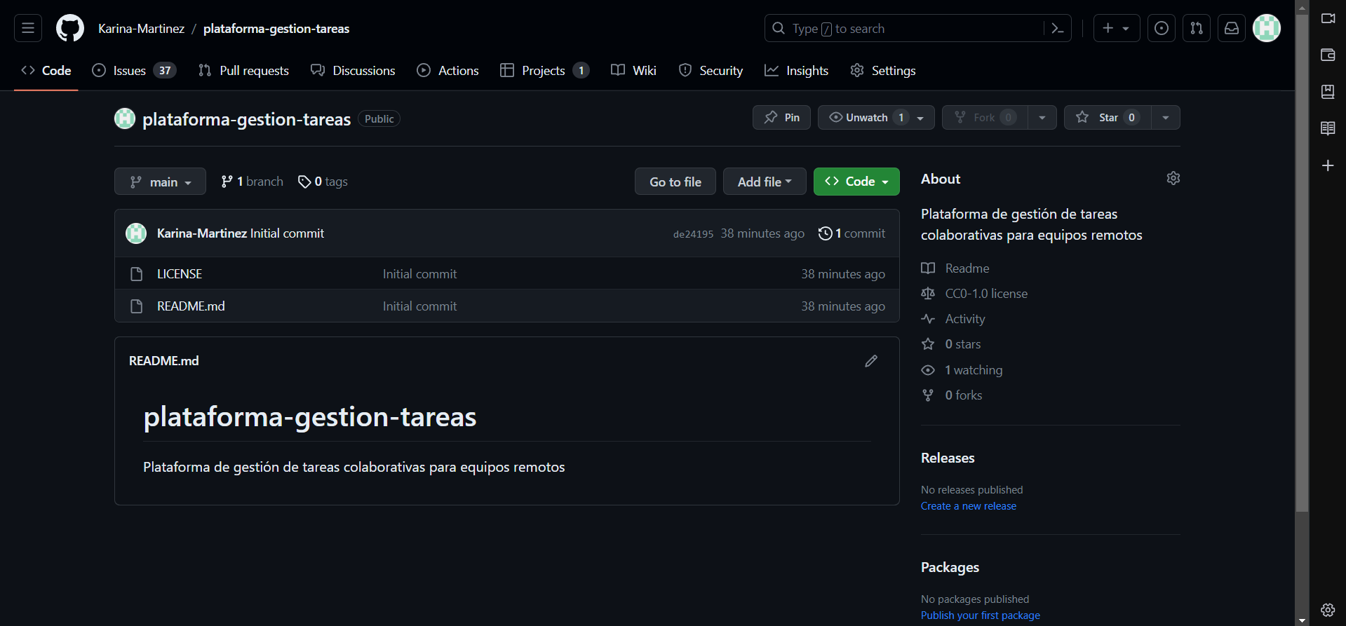 Creación de Github destinado al proyecto · Issue #37 · Karina-Martinez ...