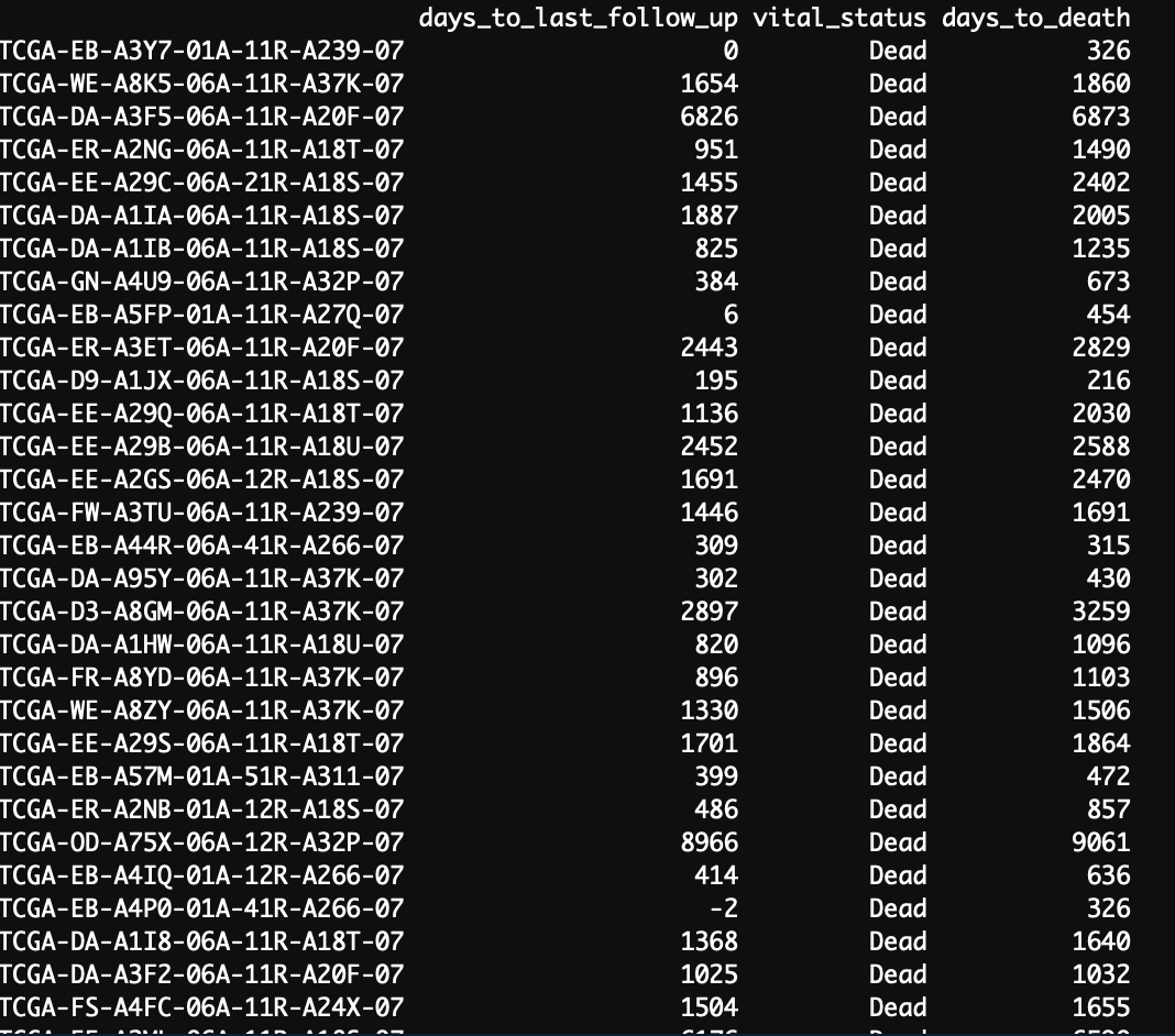 Screen Shot 2019-06-26 at 11 35 38 AM