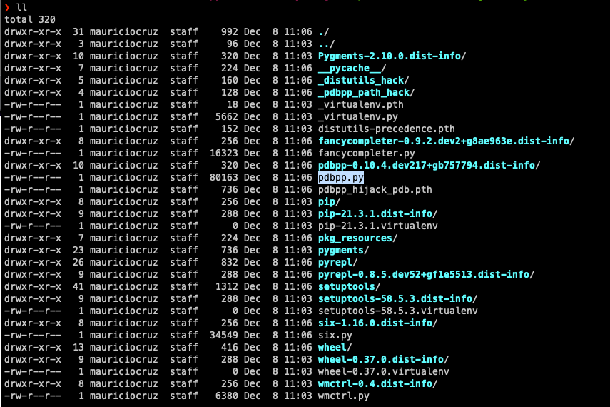 Issues with custom colors, zsh + keyboard shortcuts · Issue 478