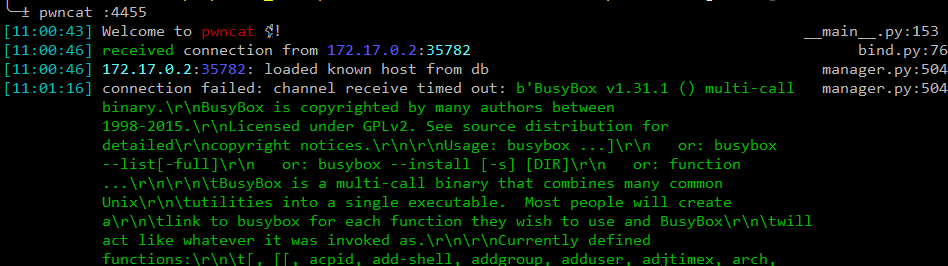 Linux Reverse Shell Fails because of incorrect shell detection · Issue ...
