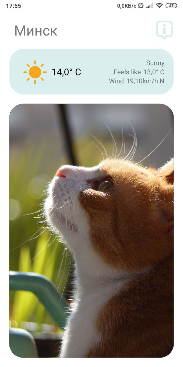 GitHub - Grobych/CatWeather · GitHub