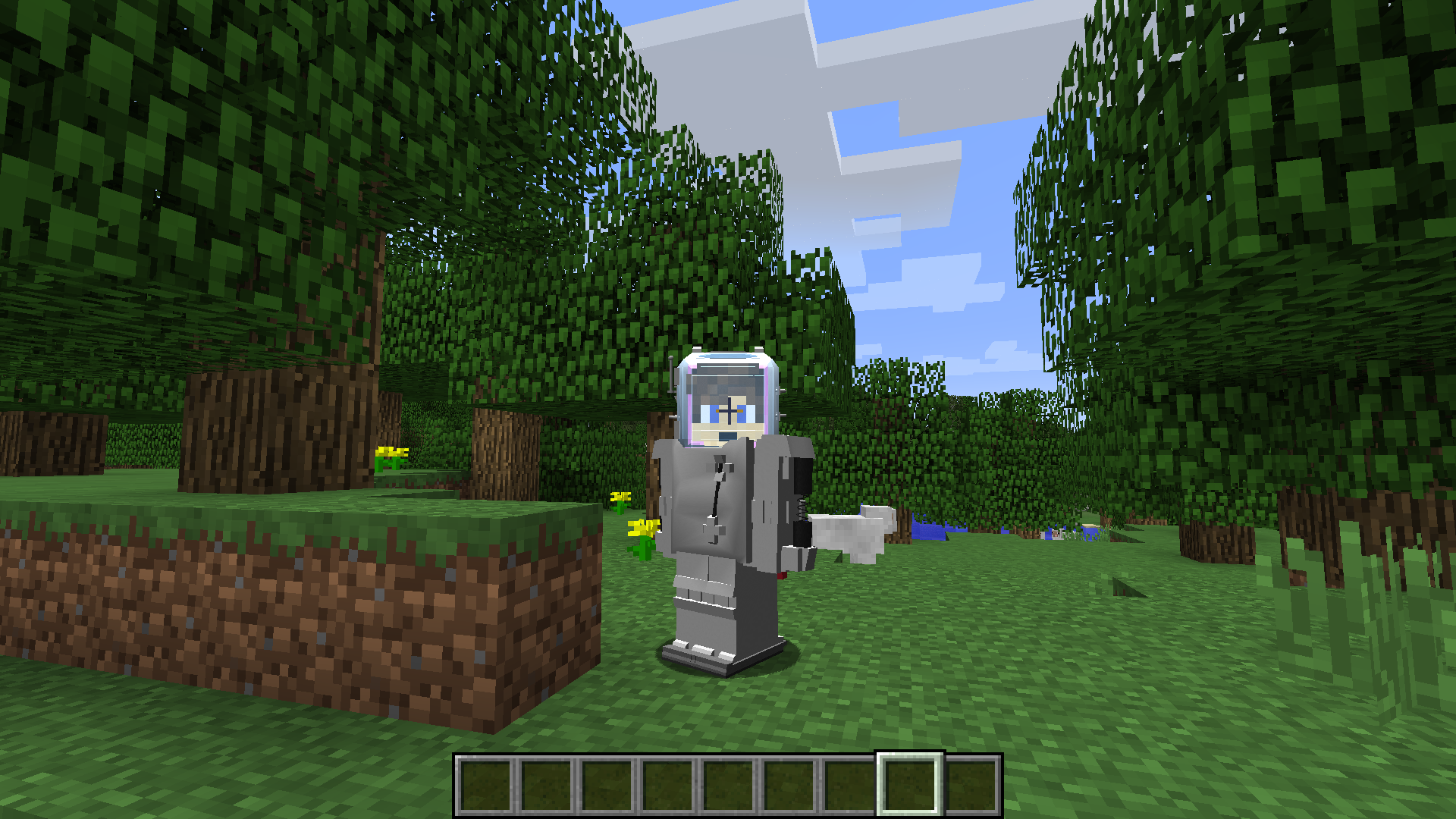 1.8.9 SpaceSuit model issue · Issue 769 · · GitHub