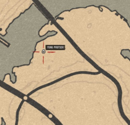 Possible item locations · Issue #49 · jeanropke/RDR2CollectorsMap · GitHub