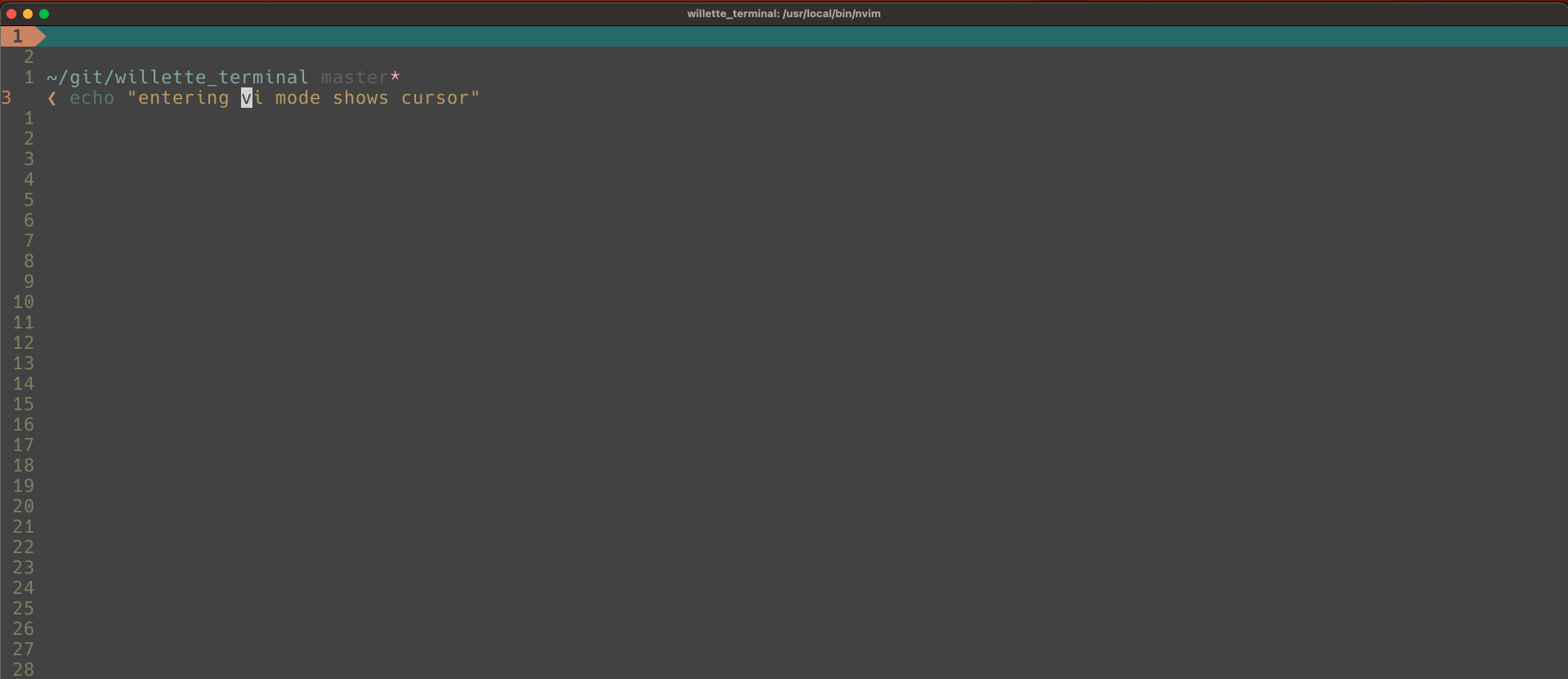 cursor_displayed_term_vi_mode