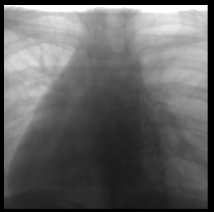 screenshot from 2018-11-30 14-43-41