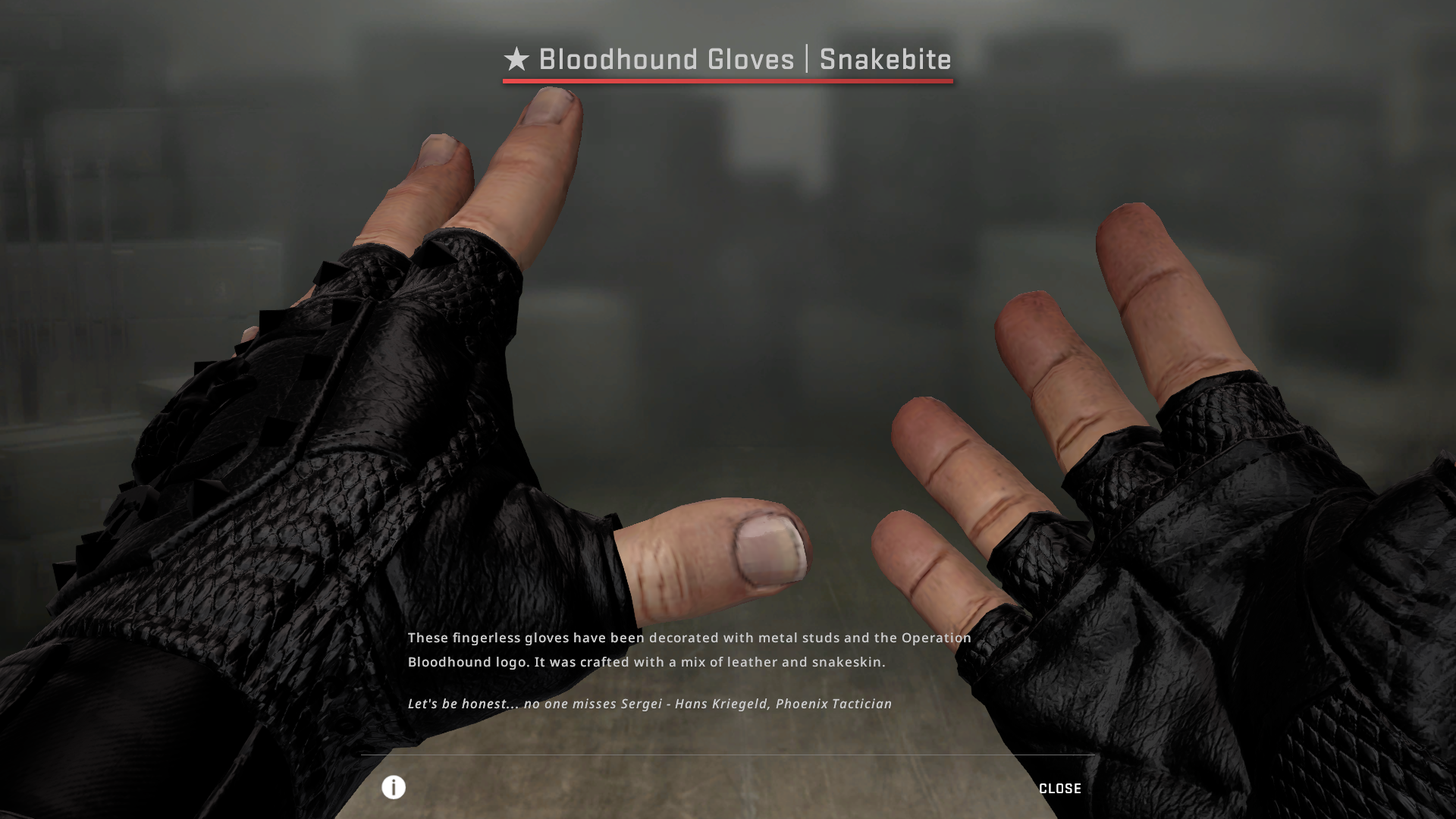 Glove skins do not load when inspecting from market only the model