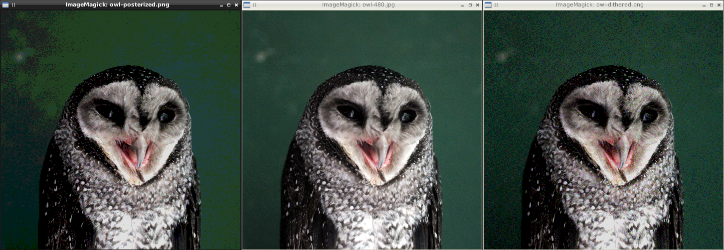 dither-example
