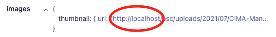 WP CLI Command indexes incorrect URL scheme · Issue #181 ...