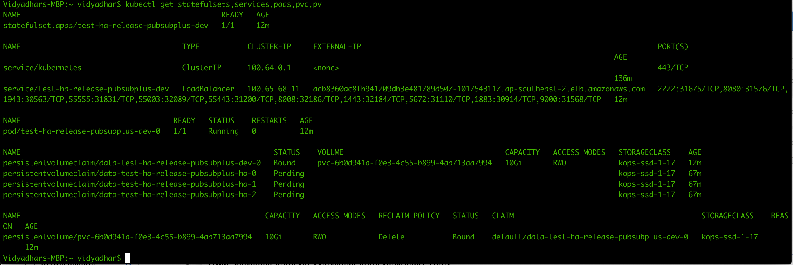 Helm pubsubplus & pubsubplusha not working · Issue 89