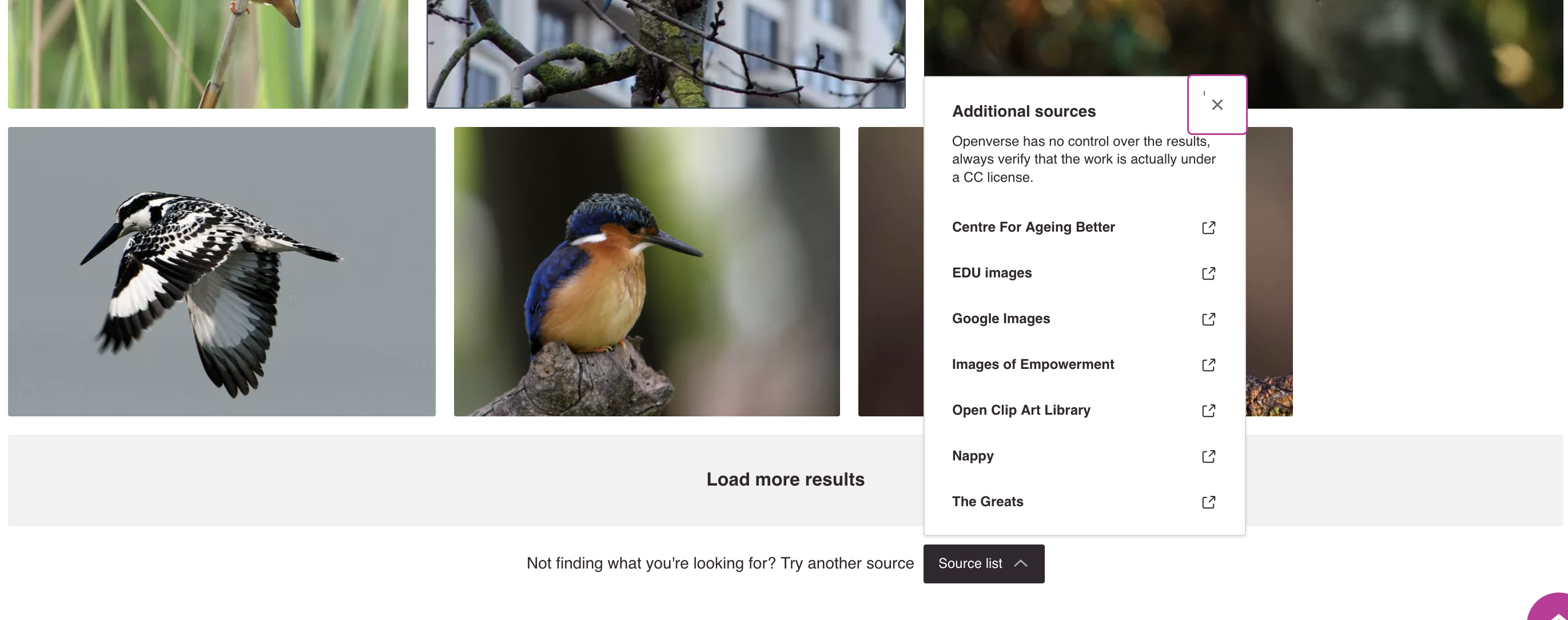 Screen Shot 2022-08-19 at 2 49 11 PM