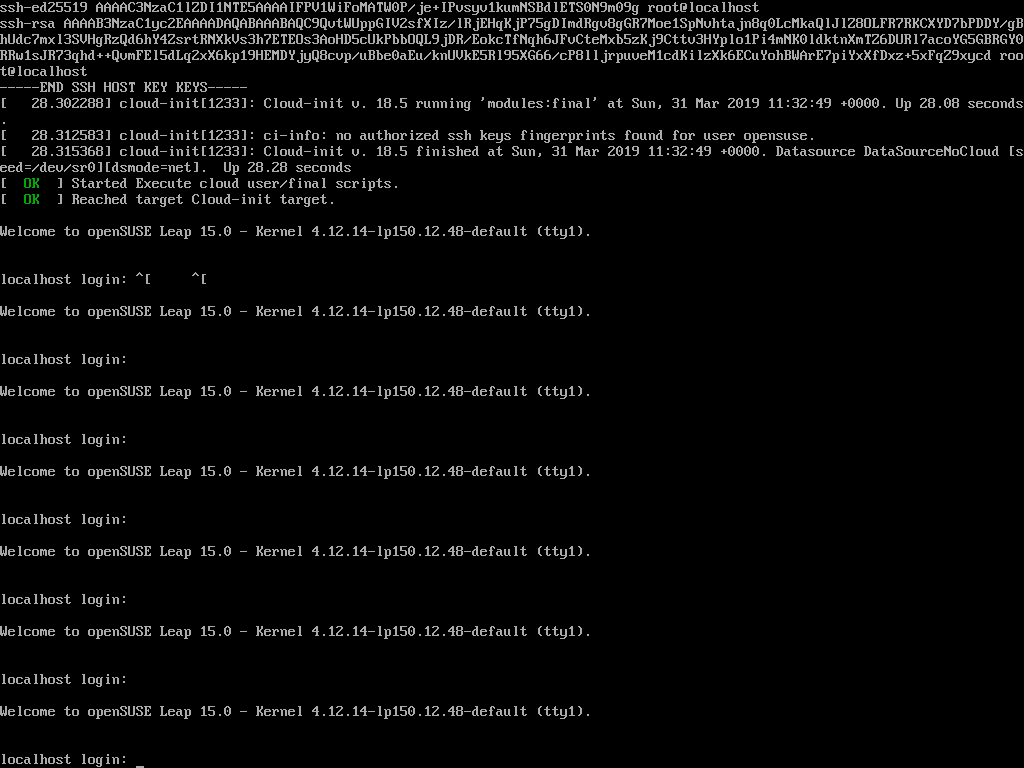 Screenshot_leap15-terraform_2019-03-31_13:34:24