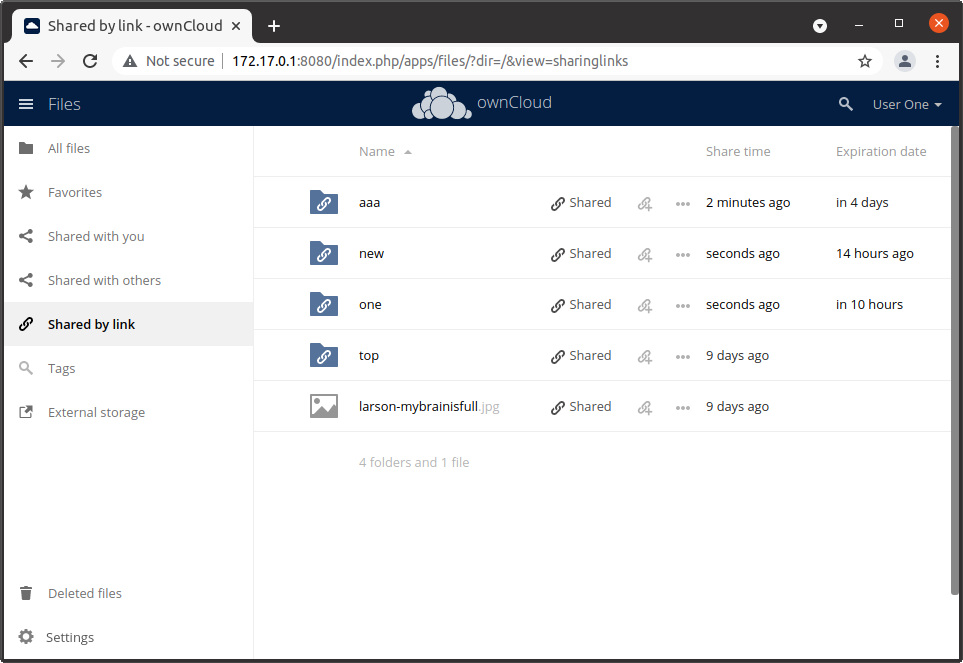 shared-by-link-expiration-date