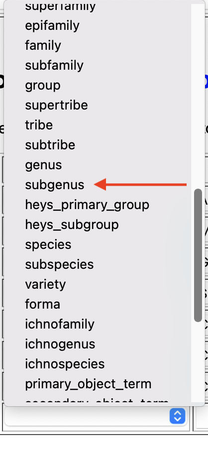 Subgenus in list