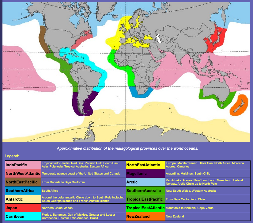 Malacological Provinces Map URL