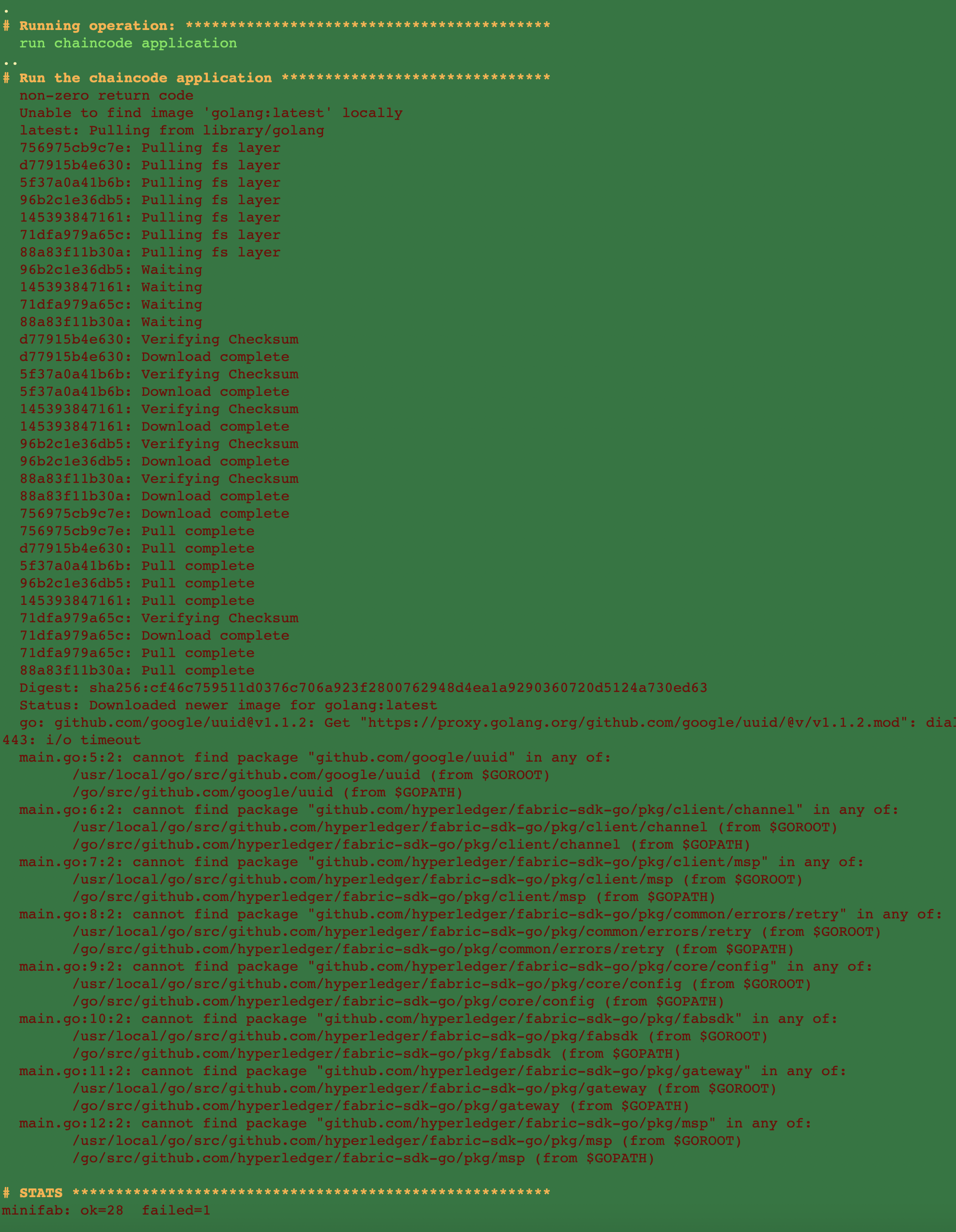 Minifab Up With Goproxy Cn Works But Apprun Failed Minifabric