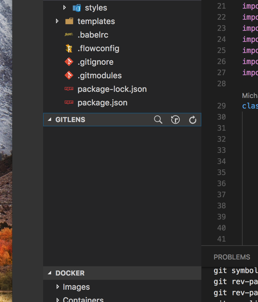 GitLens sidebar pane is blank · Issue 168 · gitkraken/vscodegitlens