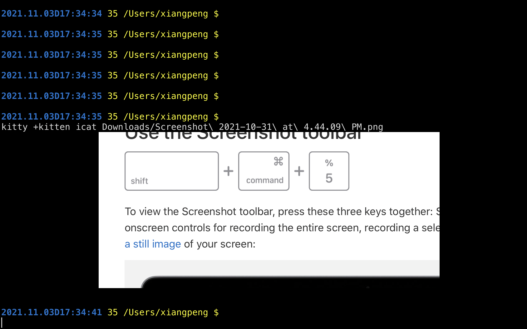 bad image display behaviour after resizing window · Issue #4187 ...