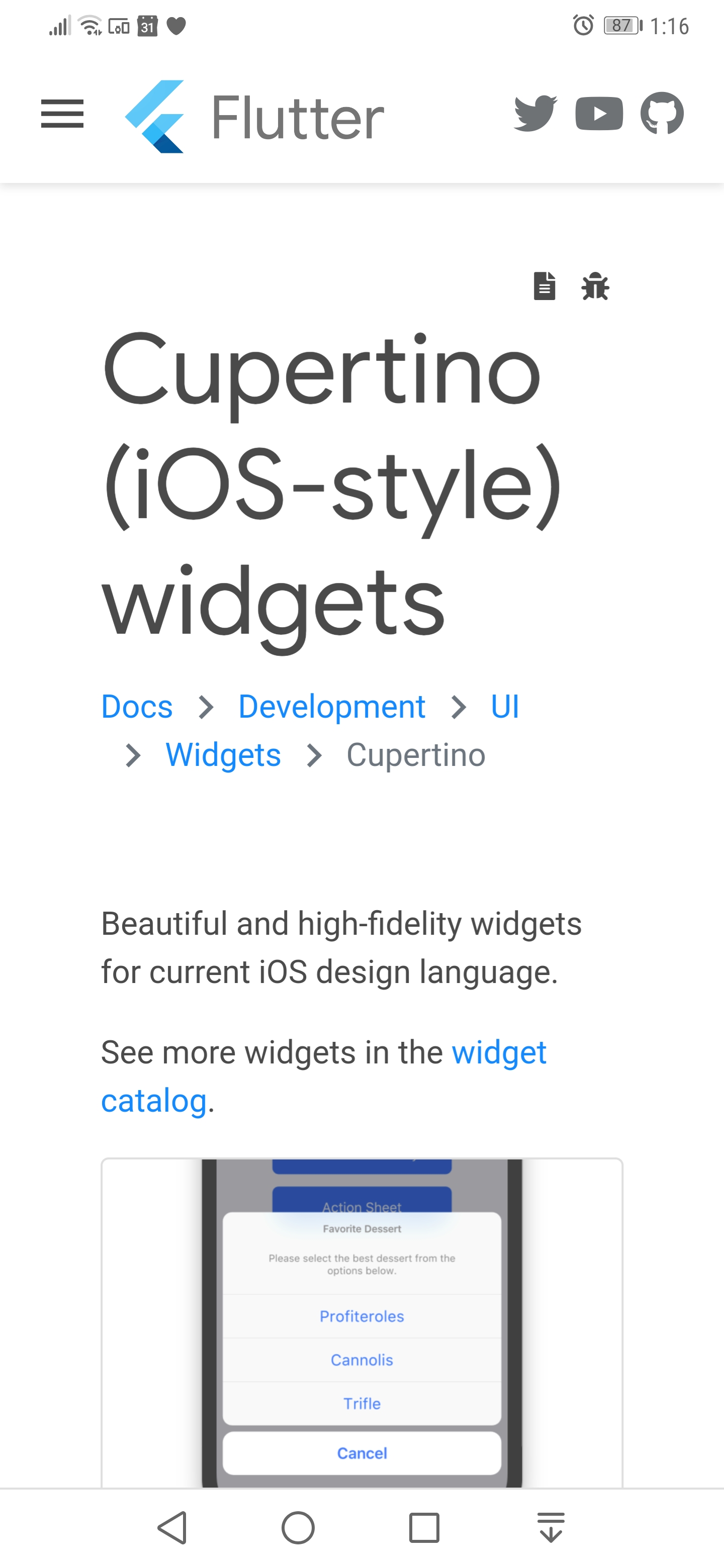 Layout issues on widgets catalog on phones · Issue #2625 · flutter ...