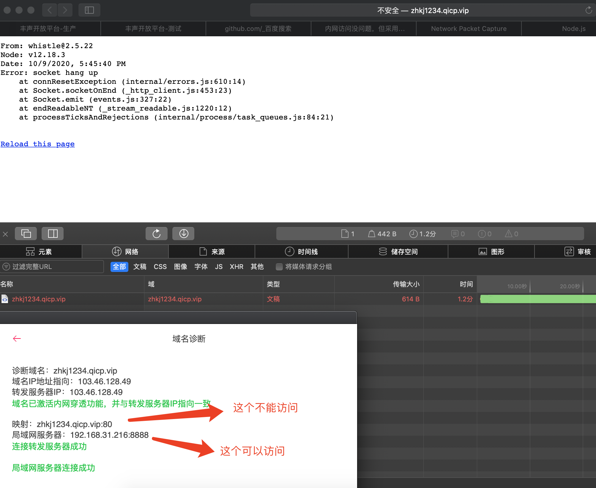 内网访问没问题，但采用公网地址就会报错 · Issue #499 · avwo/whistle · GitHub
