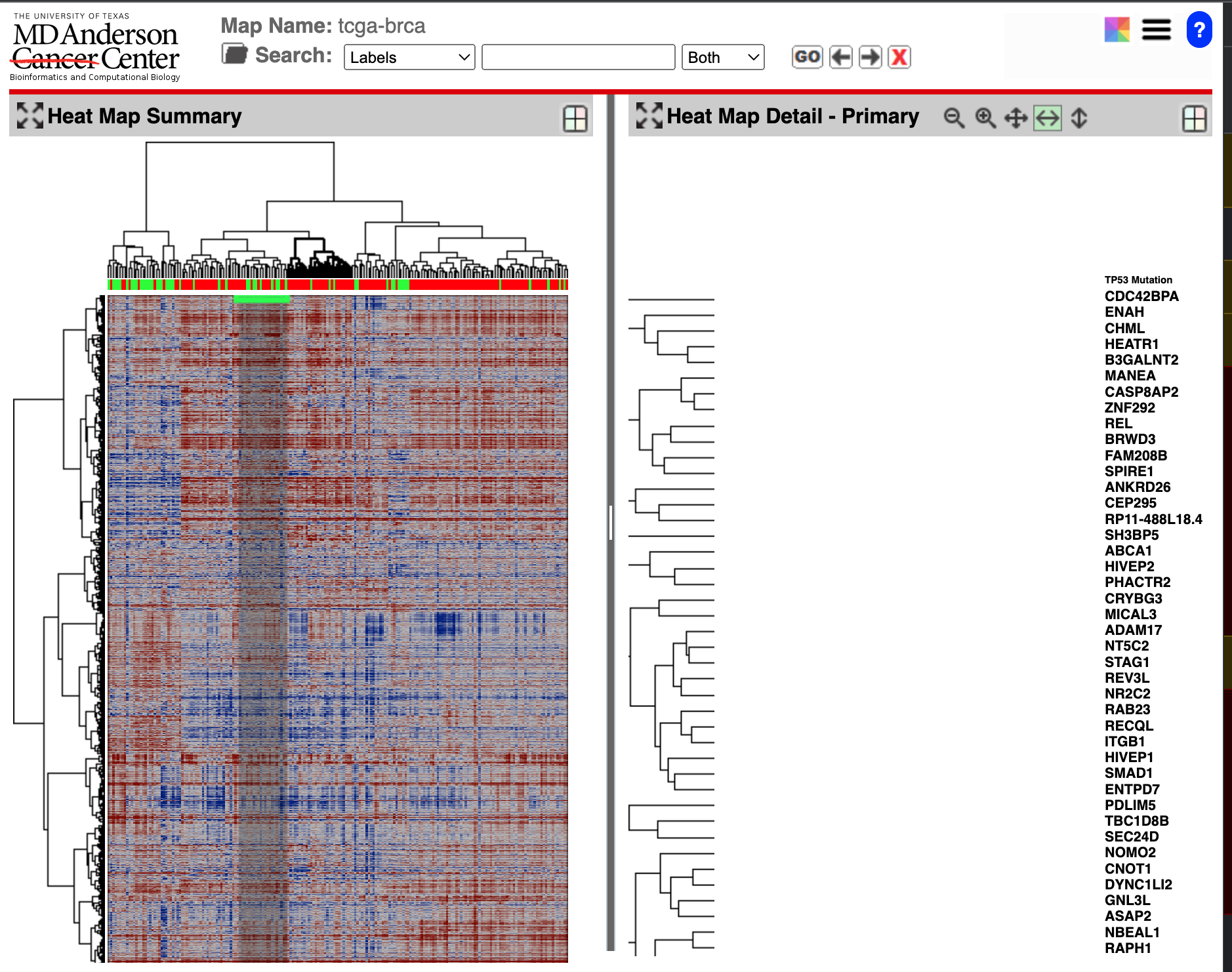 Using down arrow with dendrogram-selected columns produces unwanted ...