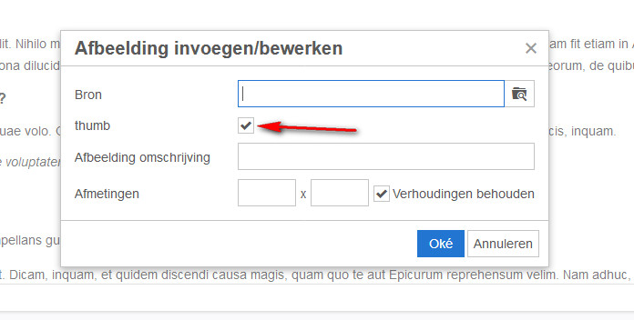 Add custom checkbox in existing image plugin tinymce 5 · Issue #4968 ...