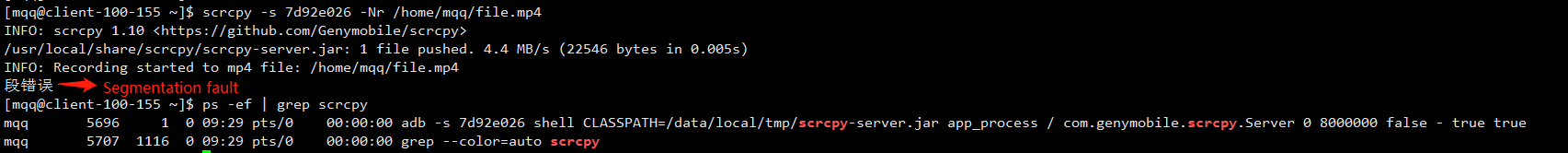 Segmentation fault！！！ · Issue #717 · Genymobile/scrcpy · GitHub