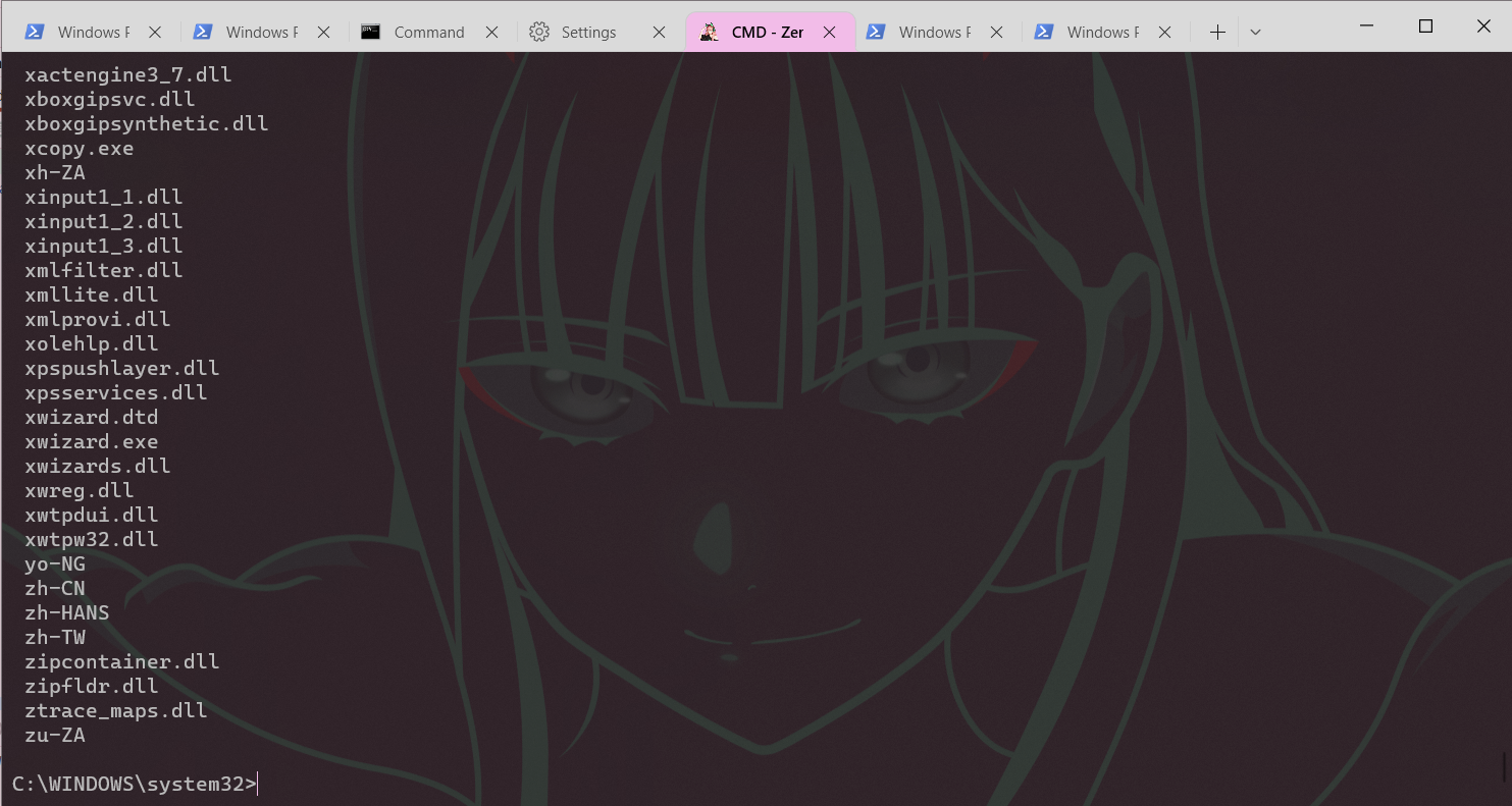 Windows Terminal support migration · Issue 210 · dokitheme/doki