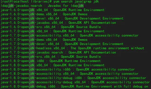 Openjdk runtime environment. Openjdk runtime environment