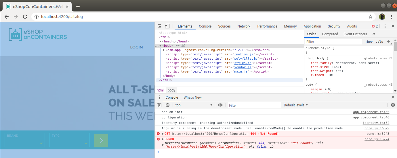 Webspa with ng serve not run issue 1211 dotnet architecture