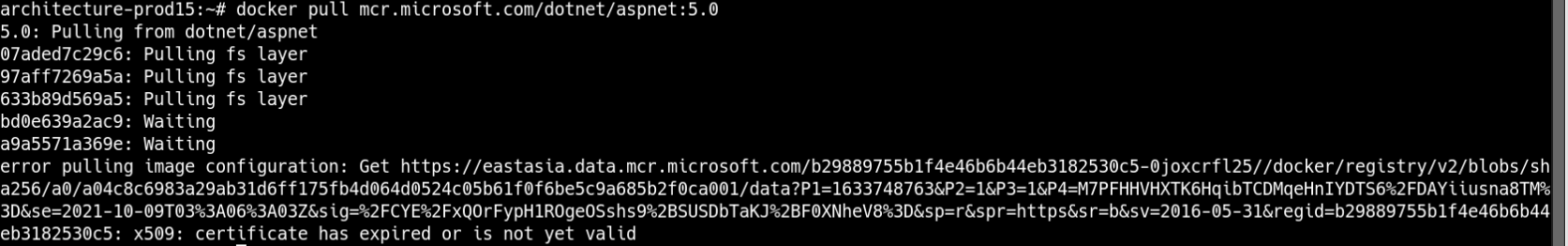 Error on Image docker HTTPS - SSL · Issue #3191 · dotnet/dotnet-docker ...