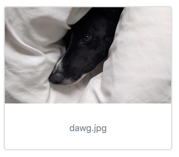 screenshot 2019-01-01 at 00 20 02