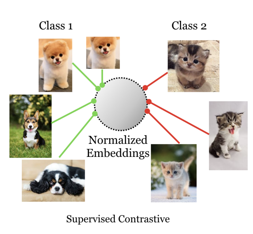 Supervised Contrastive Learning for Pre-trained Language Model Fine ...