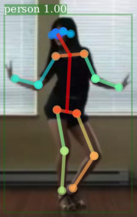 How to map Detectron and H36M skeletons? · Issue #11 · facebookresearch ...