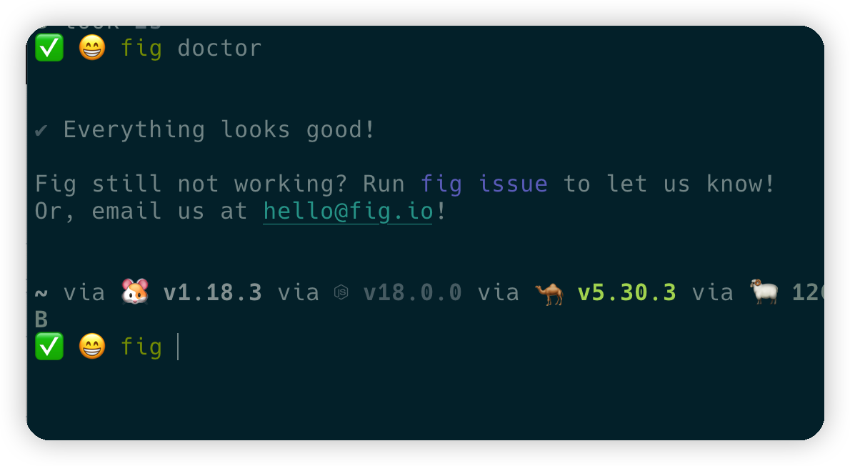 Fig can't work · Issue #1564 · withfig/fig · GitHub