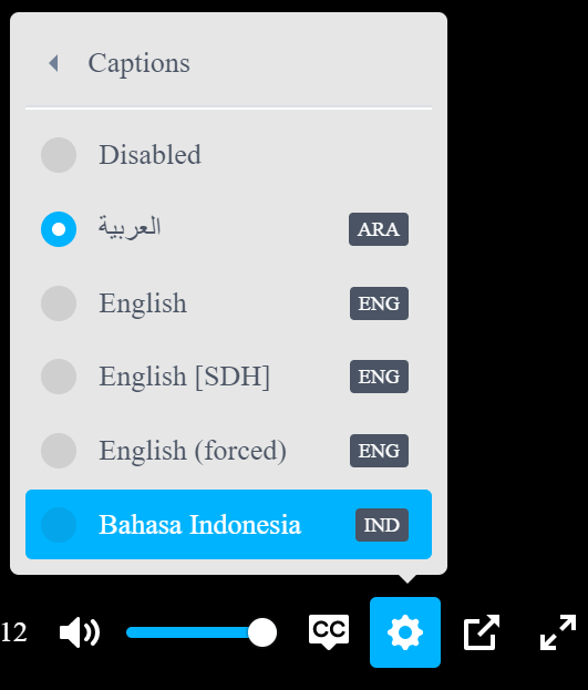 Better subtitle list management · Issue 200 ·