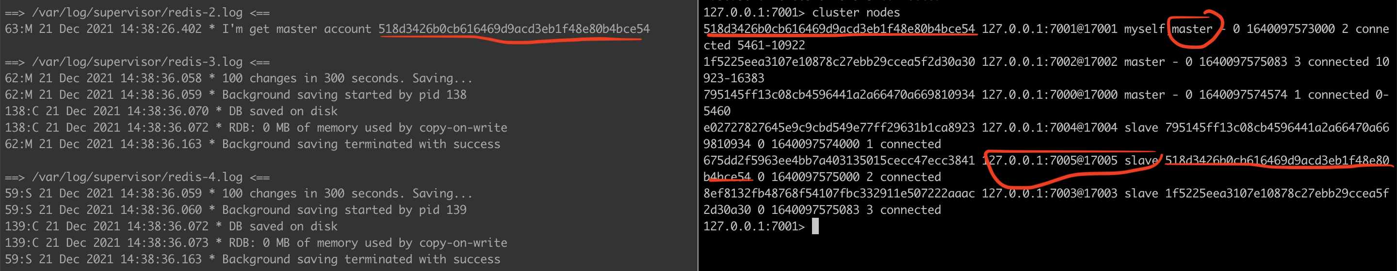 Screen Shot 2021-12-21 at 21 39 45