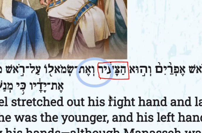 image (11)