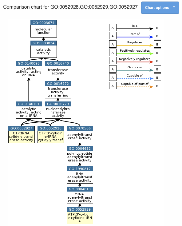 Screen Shot 2019-09-18 at 13 18 32