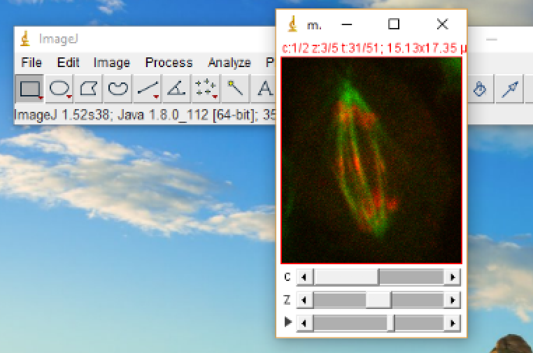 Bad scrollbar handle visibility on Windows 10 using ImageJ 1.52r (and previous versions) · Issue