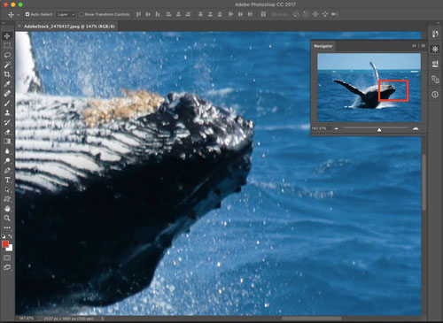 photoshop-navigator-panel