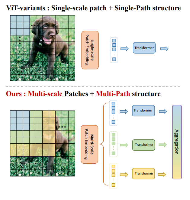 [56] MPViT : Multi-Path Vision Transformer for Dense Prediction · Issue ...