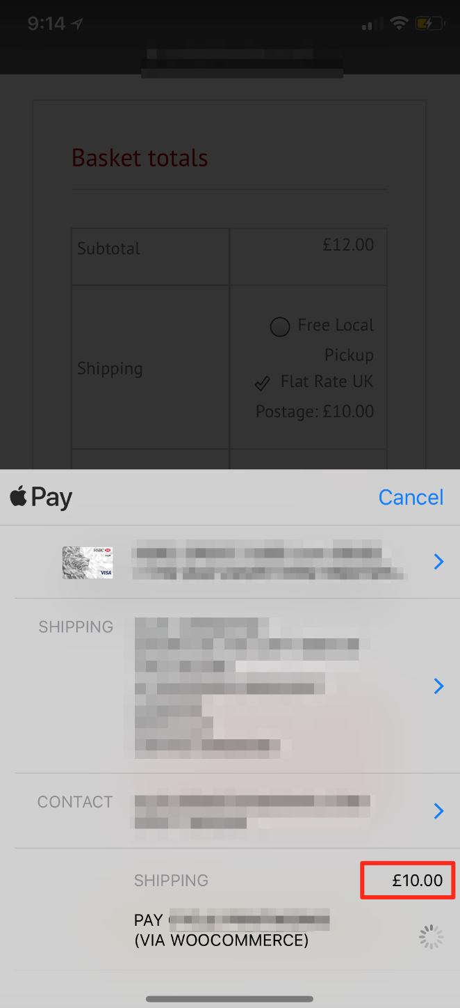 When using Apple Pay from Basket, if you change shipping options the ...