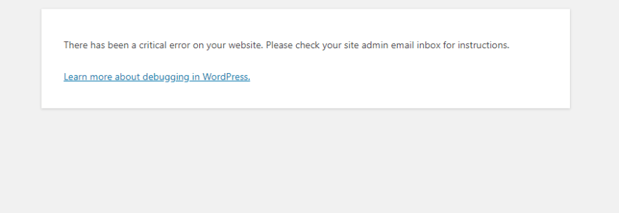 There-has-been-a-critical-error-on-your-website