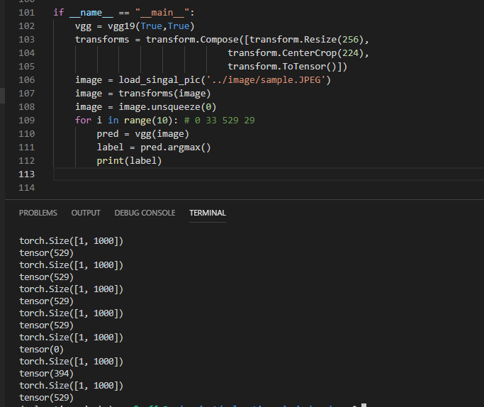 One question about pretrained model of vgg19 · Issue 1302 · pytorch