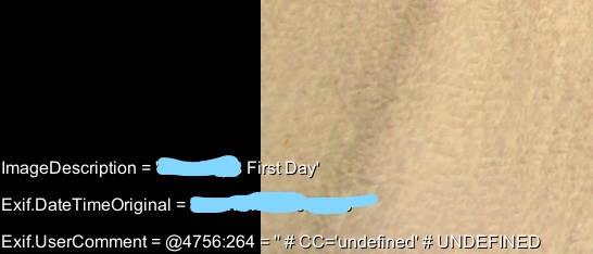 2019-02-17-193934_1920x1080_scrot_li