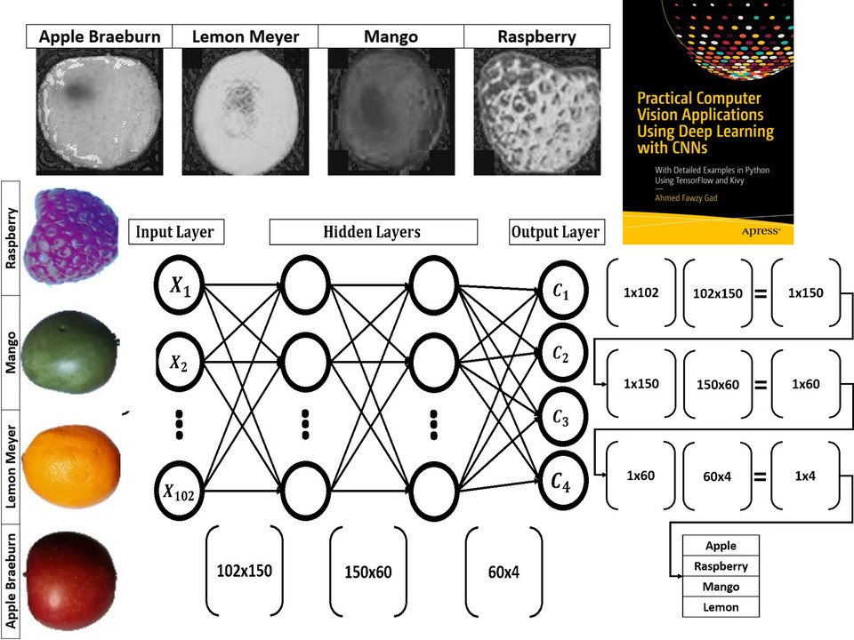 neural network assignment github