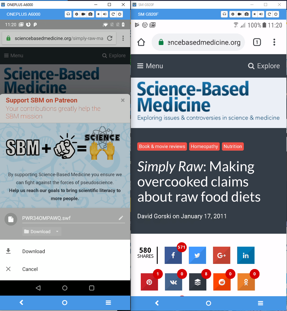 Opera asks to download a bunch of .swf files